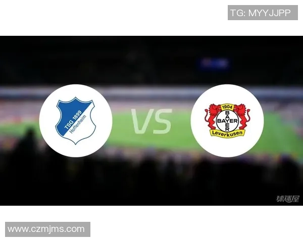 霍芬海姆主场斩获三连胜，勒沃库森扼腕败北难挡对手势头